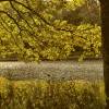 Warme Herbstfarben